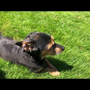 Meet your Posher, Brandy